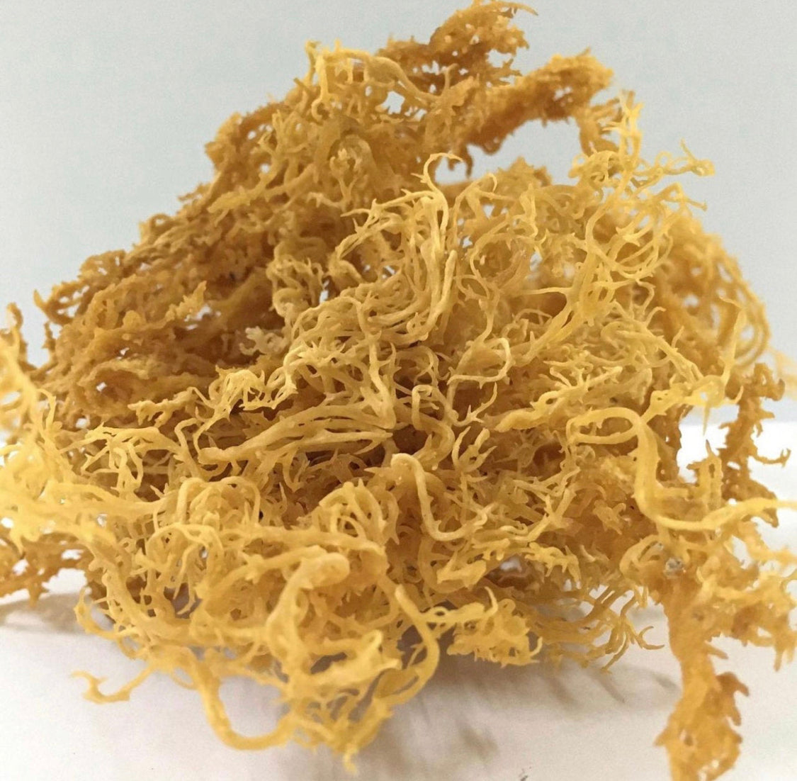 Irish Sea Moss – Bulk Epsom Salts