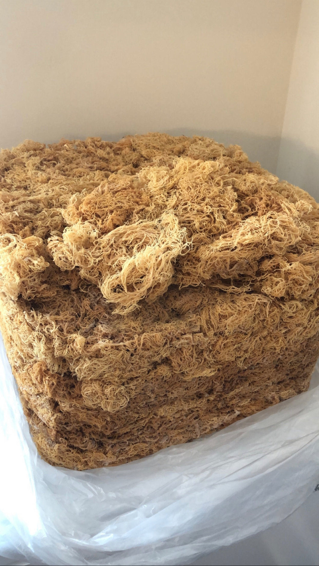 Bulk Wildcrafted Sea Moss