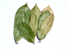 Load image into Gallery viewer, Organic Soursop Dried Leaves
